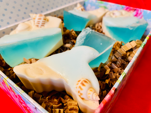 Beach Getaway Soap (2-pack)